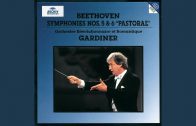 Beethoven: Symphony No.5 In C Minor, Op.67 – 1. Allegro con brio