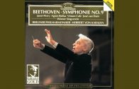 Beethoven: Symphony No.9 In D Minor, Op.125 – “Choral” – Excerpt From 4th Movement – 4. Presto…